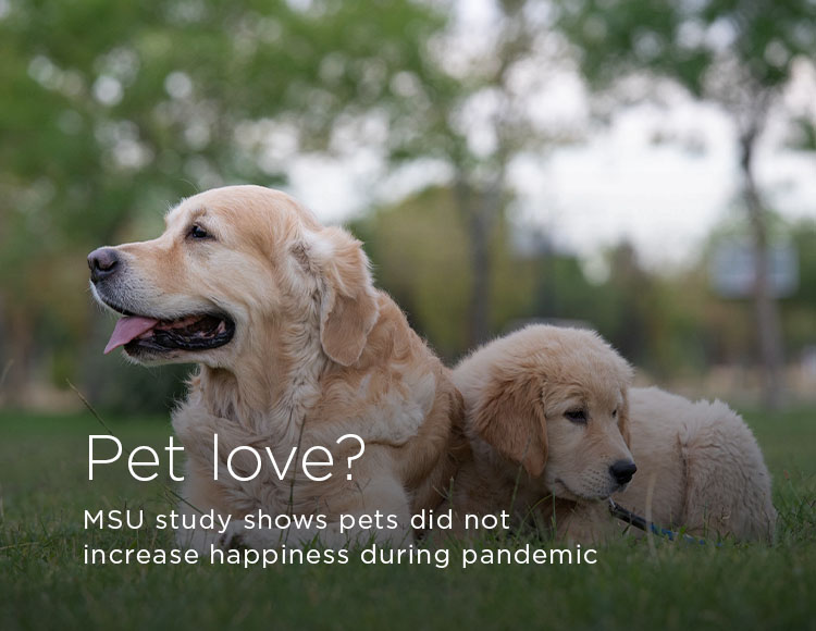 Pet love? MSU study shows pets did not increase happiness during pandemic