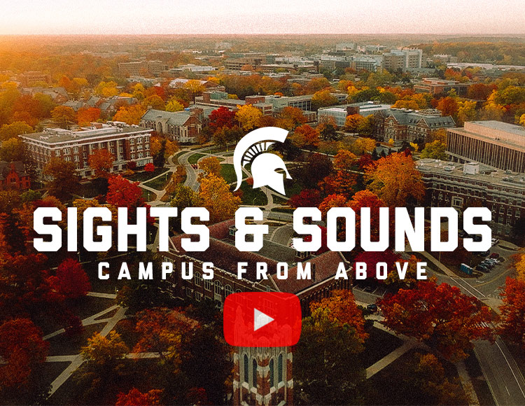 Sights and sounds: Campus from above