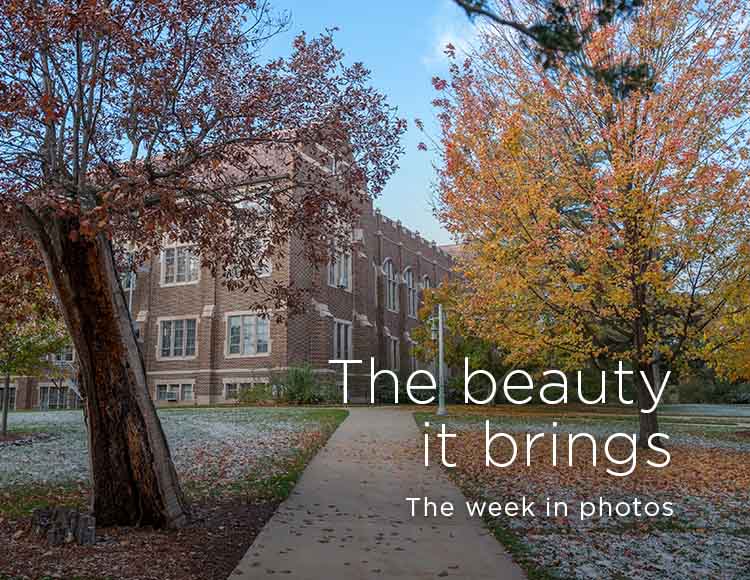 The beauty it brings: The week in photos