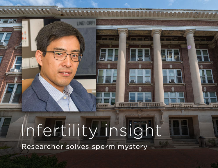 Infertility insight: Researcher solves sperm mystery