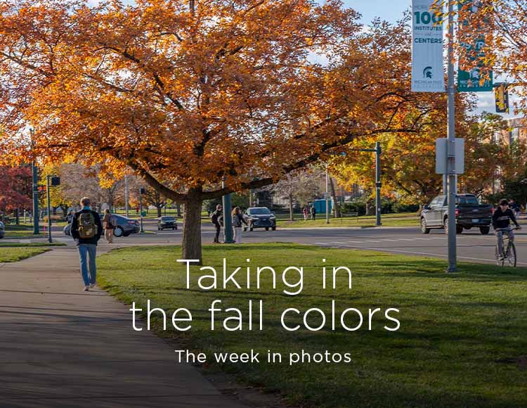 Taking in the fall colors: The week in photos 