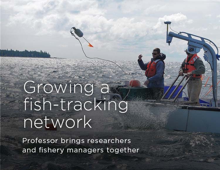 Growing a fish-tracking network: Professor brings researchers and fishery managers together
