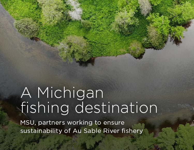 A Michigan fishing destination: MSU, partners working to ensure sustainability of Au Sable River fishery