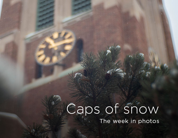 Caps of snow: The week in photos