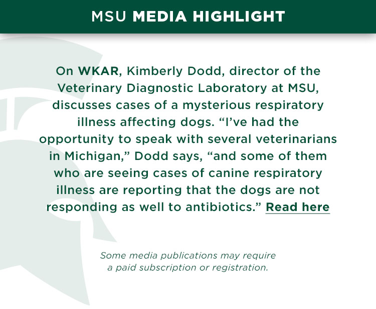 On WKAR, Kimberly Dodd, director of the Veterinary Diagnostic Laboratory at MSU, discusses cases of a mysterious respiratory illness affecting dogs. “I’ve had the opportunity to speak with several veterinarians in Michigan,” Dodd says, “and some of them who are seeing cases of canine respiratory illness are reporting that the dogs are not responding as well to antibiotics.”
