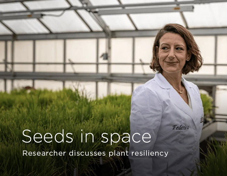 Seeds in space: Researcher discusses plant resiliency