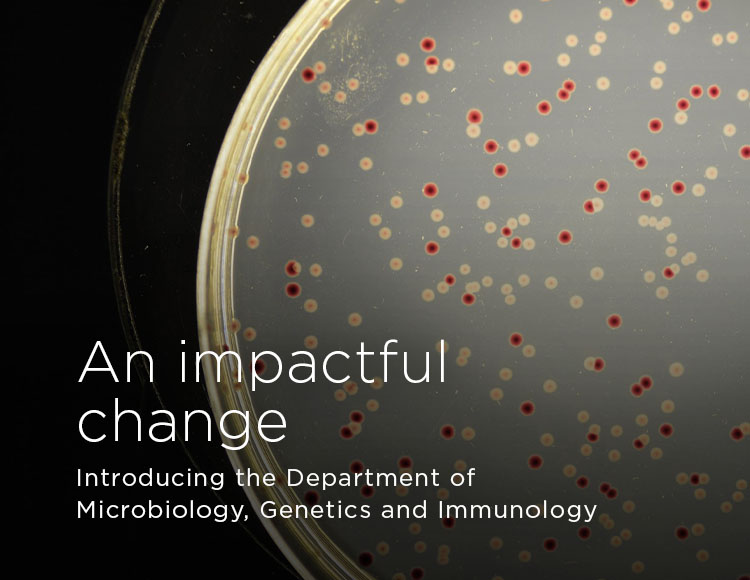 An impactful change: Introducing the Department of Microbiology, Genetics and Immunology