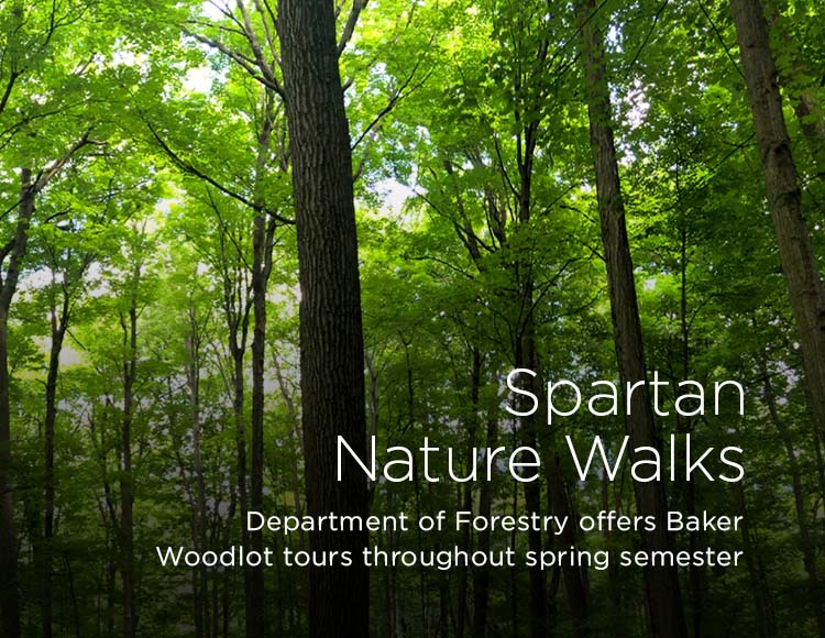 Spartan Nature Walks: Department of Forestry offers Baker Woodlot tours throughout spring semester