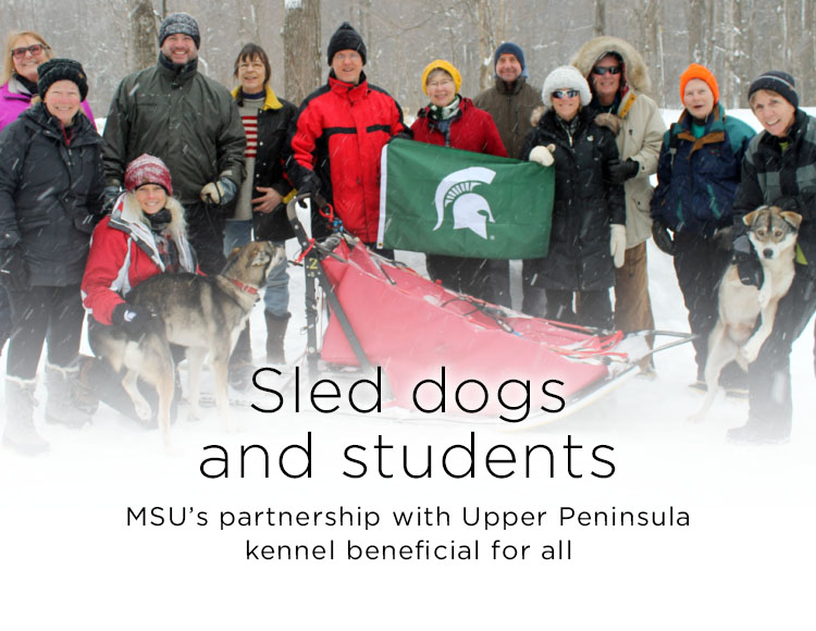 Sled dogs and students: MSU’s partnership with Upper Peninsula kennel beneficial for all