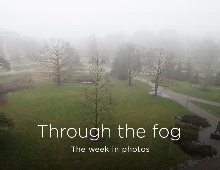 Through the fog: The week in photos