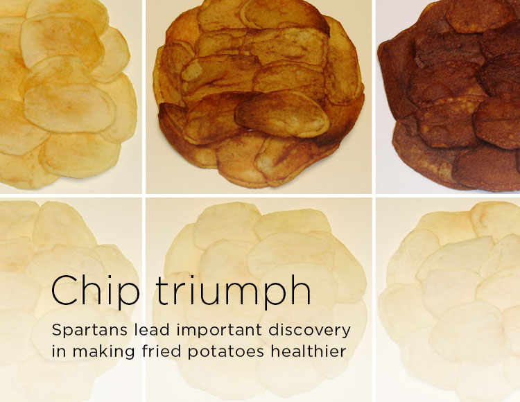 Chip triumph: Spartans lead important discovery in making fried potatoes healthier