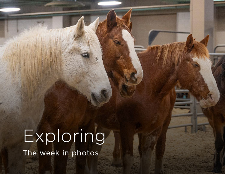 Exploring: The week in photos
