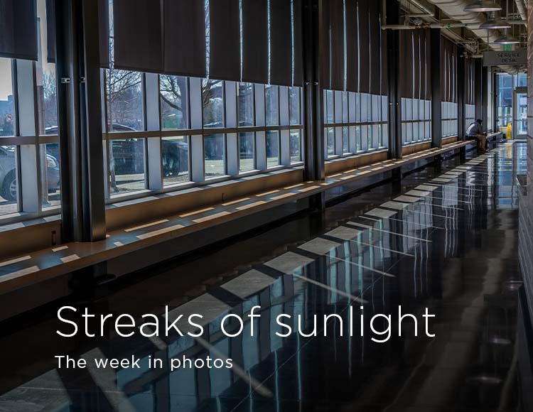 Streaks of sunlight: The week in photos