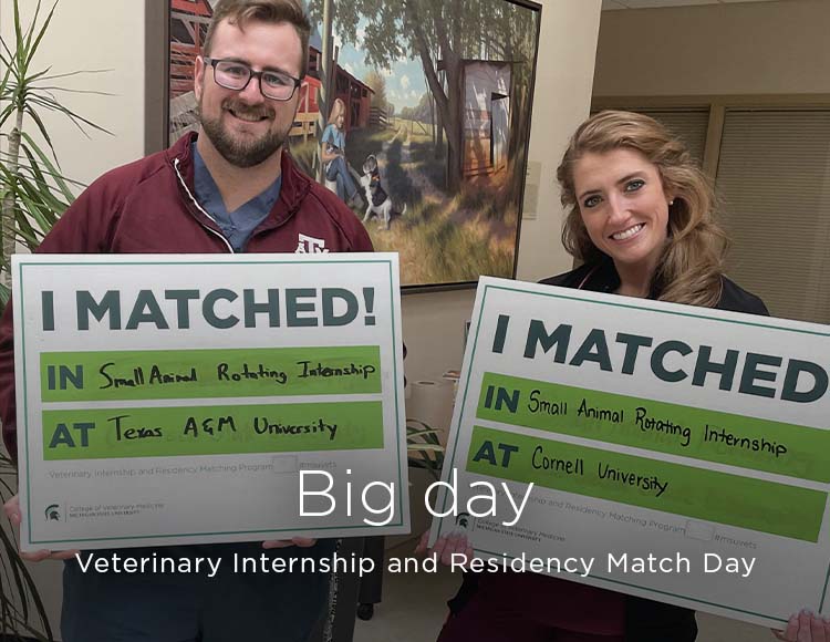 Big day: Veterinary Internship and Residency Match Day