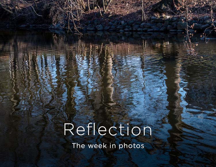 Reflection: The week in photos