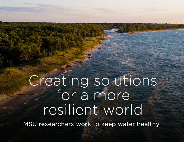 Creating solutions for a more resilient world: MSU researchers work to keep water healthy