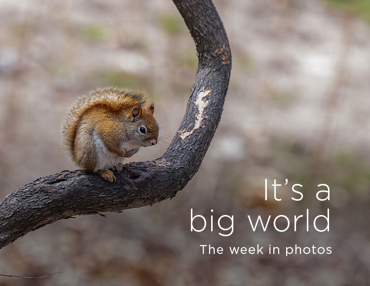 It’s a big world: The week in photos