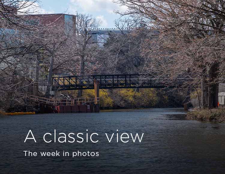A classic view: The week in photos