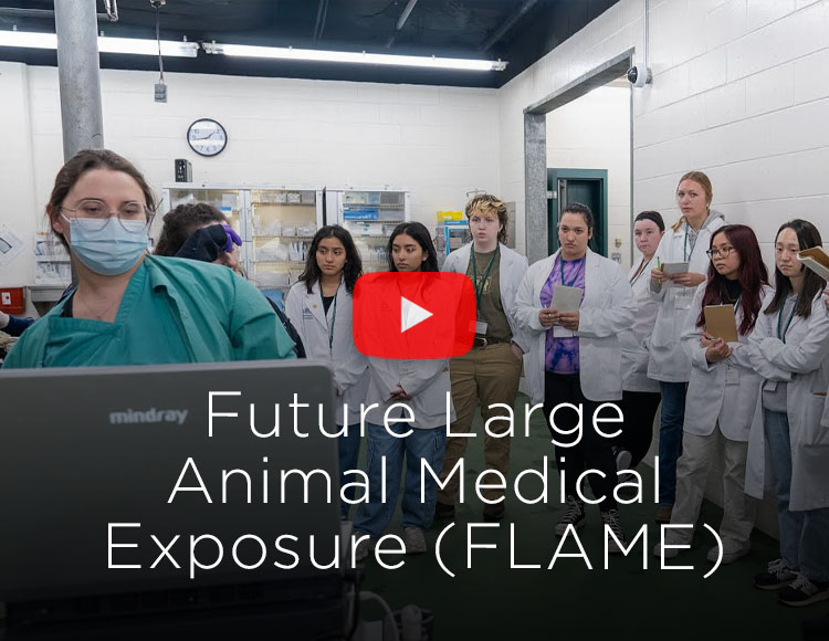 A YouTube thumbnail with various people in white lab coats looking toward a computer screen. The text on top of the thumbnail says Future Large Animal Medical Exposure (FLAME)