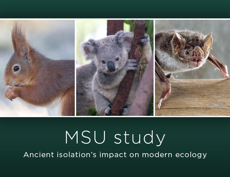 MSU study: Ancient isolation’s impact on modern ecology