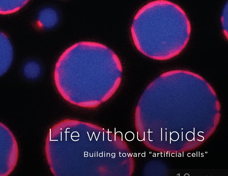 Life without lipids: Building toward “artificial cells”