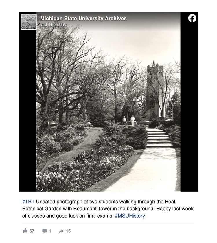 MSU Archives shared a black and white photo of Beaumont Tower on Facebook with two students walking. There is accompanying text that reads: #TBT Undated photograph of two students walking through the Beal Botanical Garden with Beaumont Tower in the background. Happy last week of classes and good luck on final exams! #MSUHistory.