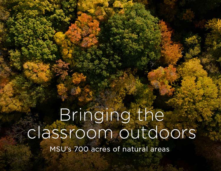 Bringing the classroom outdoors: MSU’s 700 acres of natural areas