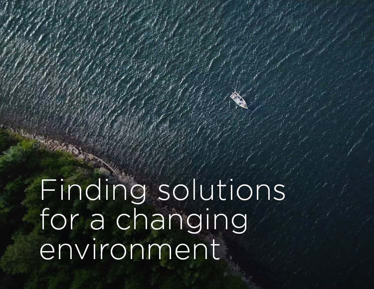 Finding solutions for a changing environment