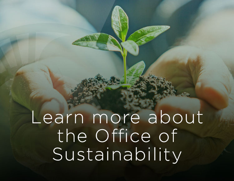Learn more about the Office of Sustainability