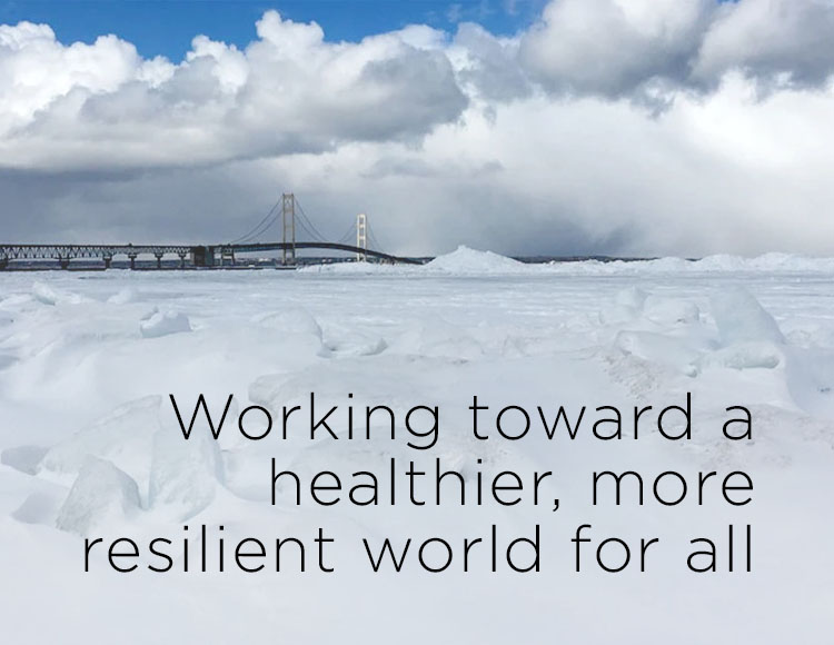 Working toward a healthier, more resilient world for all