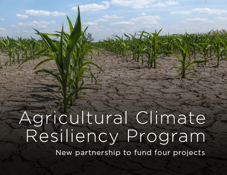 Agricultural Climate Resiliency Program: New partnership to fund four projects