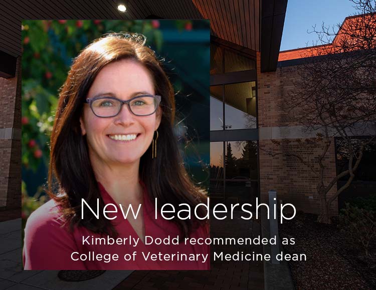 New leadership: Kimberly Dodd recommended as College of Veterinary Medicine dean
