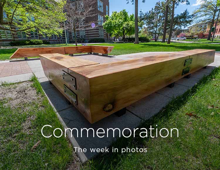 Commemoration: The week in photos