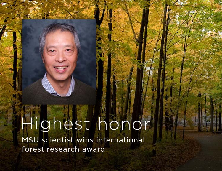 Highest honor: MSU scientist wins international forest research award