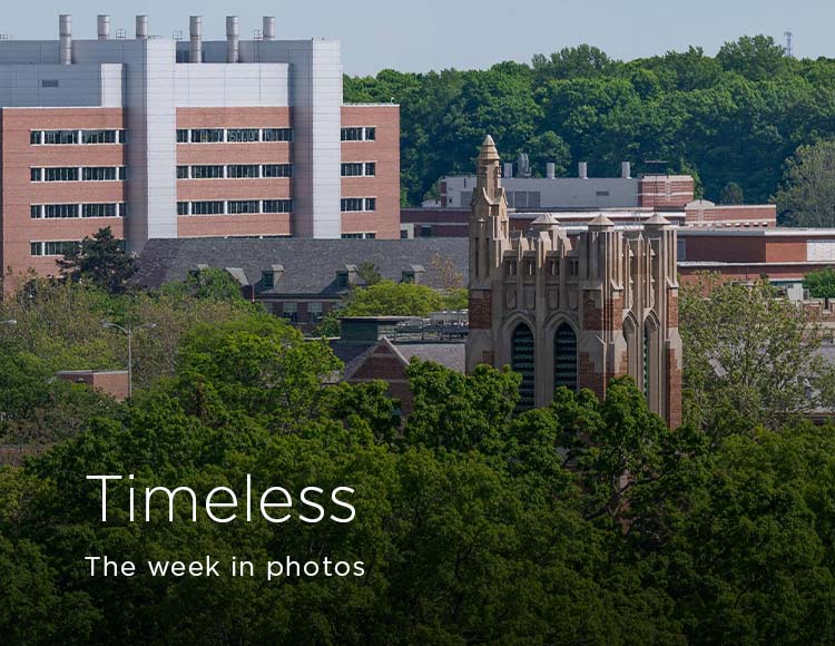 Timeless: The week in photos