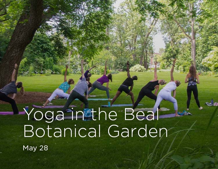 Yoga in the Beal Botanical Garden: May 28