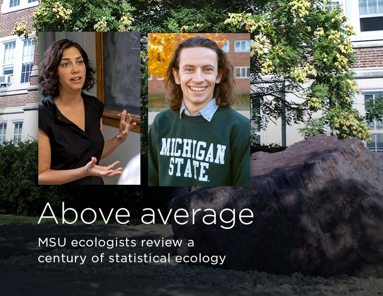 Above average: MSU ecologists review a century of statistical ecology