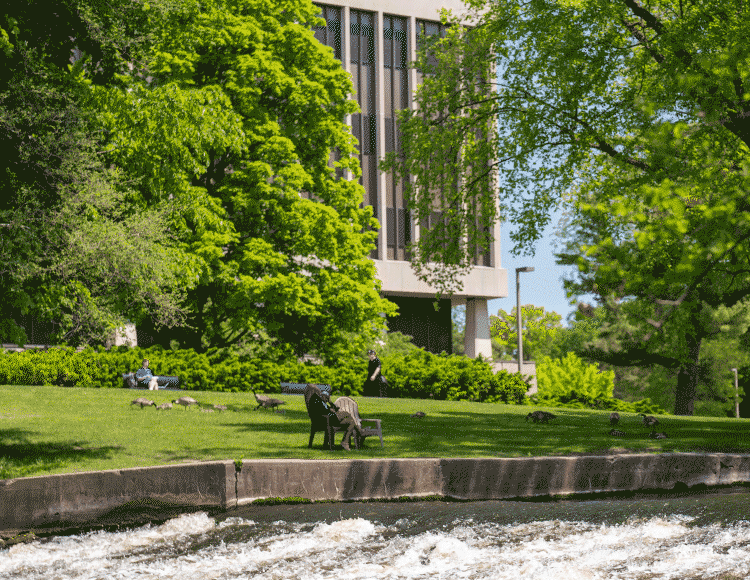 Red Cedar river