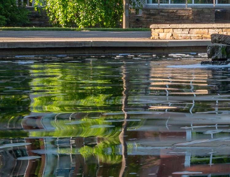 A close-up image of a small body water, surrounded by a short concrete wall. There is a reflection of a building in the water.