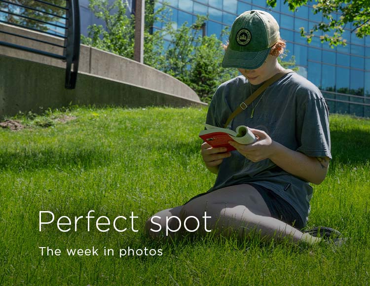 Perfect spot: The week in photos