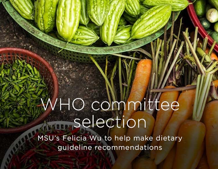WHO committee selection: MSU’s Felicia Wu to help make dietary guideline recommendations