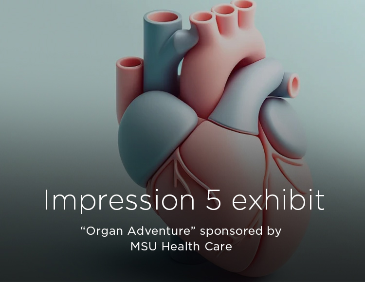 Impression 5 exhibit: “Organ Adventure” sponsored by MSU Health Care