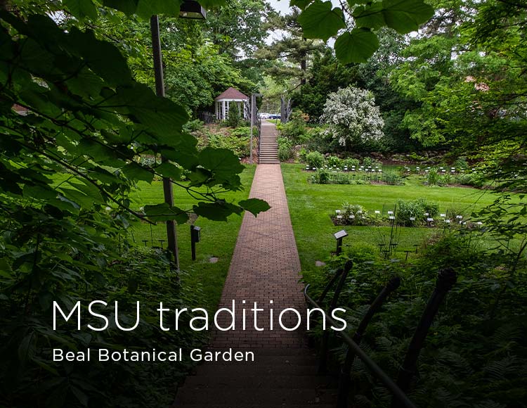 MSU traditions: Beal Botanical Garden