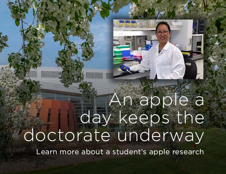 An apple a day keeps the doctorate underway: Learn more about a student’s apple research