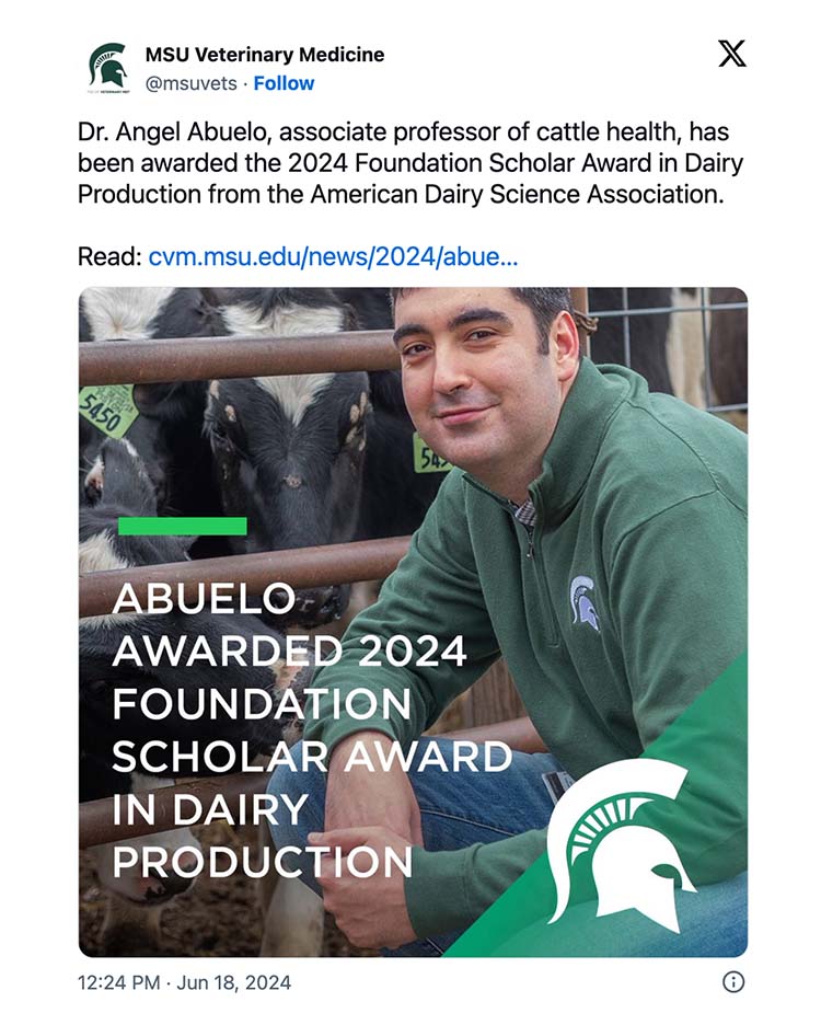 On X, formerly Twitter, MSU Veterinary Medicine tweeted: Dr. Angel Abuelo, associate professor of cattle health, has been awarded the 2024 Foundation Scholar Award in Dairy Production from the American Dairy Science Association. The text is accompanied by a photo of Abuelo near dairy cows with text that says: Abuelo awarded 2024 Foundation Scholar Award in Dairy Production.