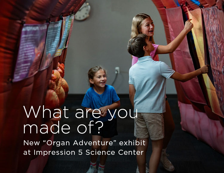 What are you made of? New “Organ Adventure” exhibit at Impression 5 Science Center