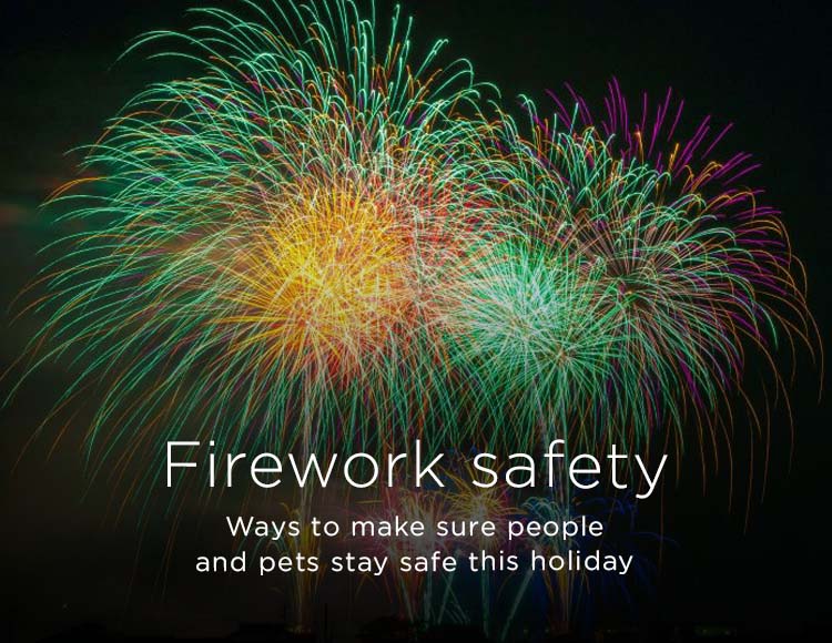 Firework safety: Ways to make sure people and pets stay safe this holiday