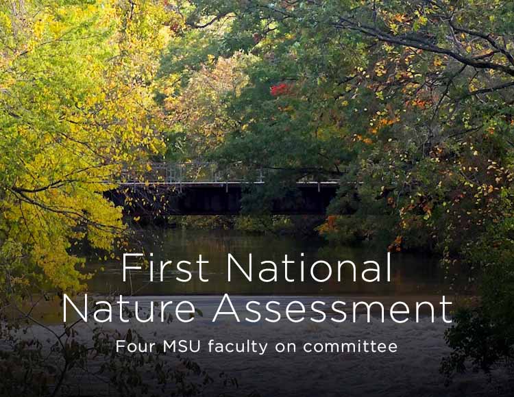 First National Nature Assessment: Four MSU faculty on committee