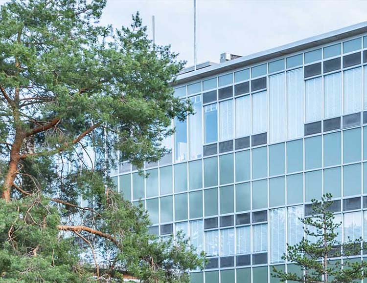 A tree in the foreground, with a building that features windows and teal rectangles in the background.