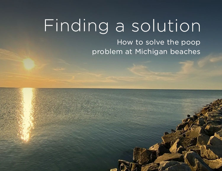 Finding a solution: How to solve the poop problem at Michigan beaches